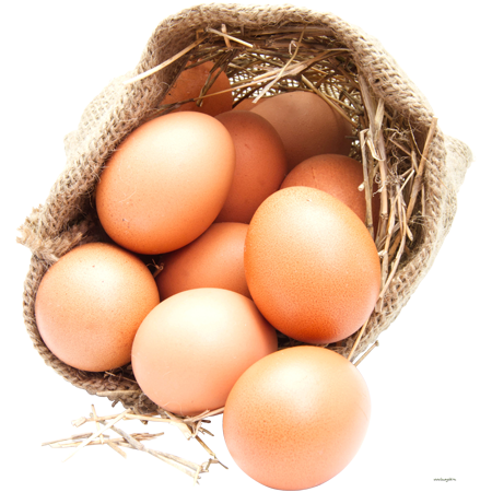 organic-egg