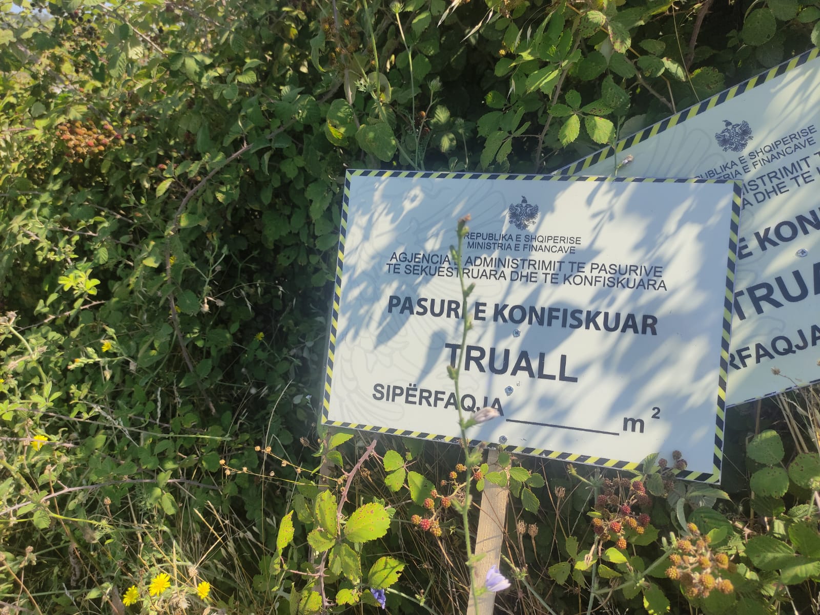 Ferma%20e%20Gjelbërt%20e%20Edukimit